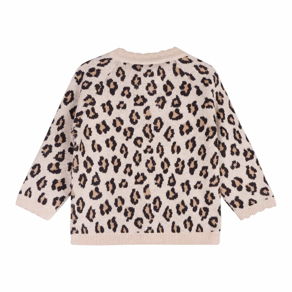 Leopard print sweater on a white background