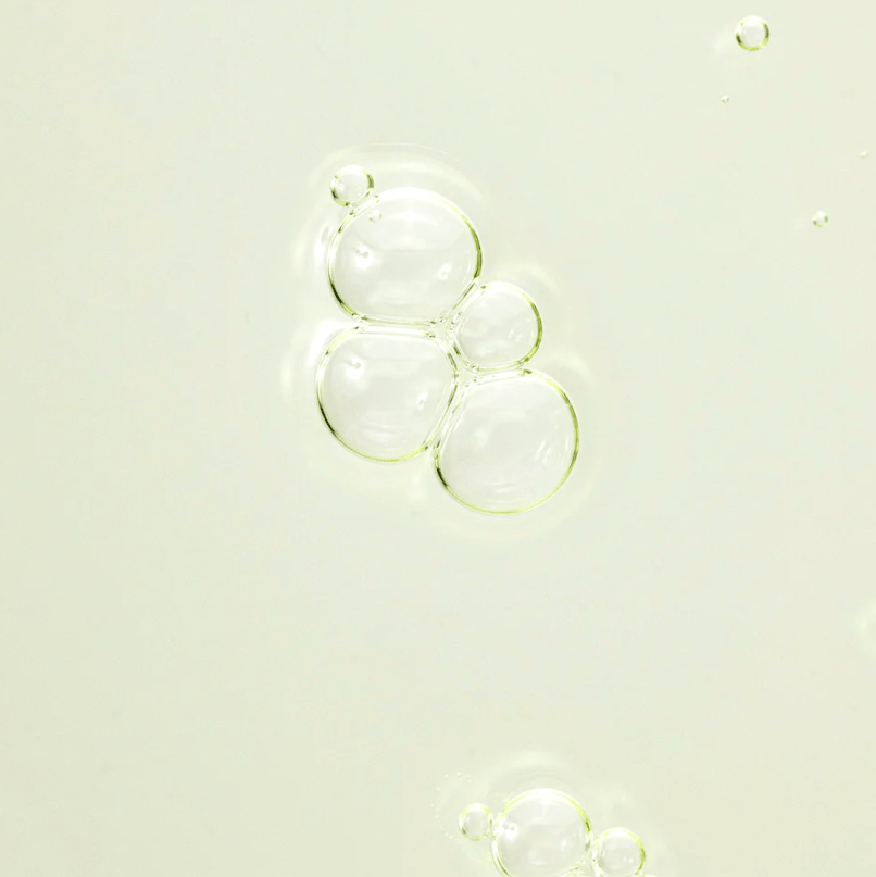 BEAUTY OF JOSEON Calming Serum : Green tea + Panthenol Vegan Best Beauty Group Modern Nomad Home decor store Denver CO Colorado
