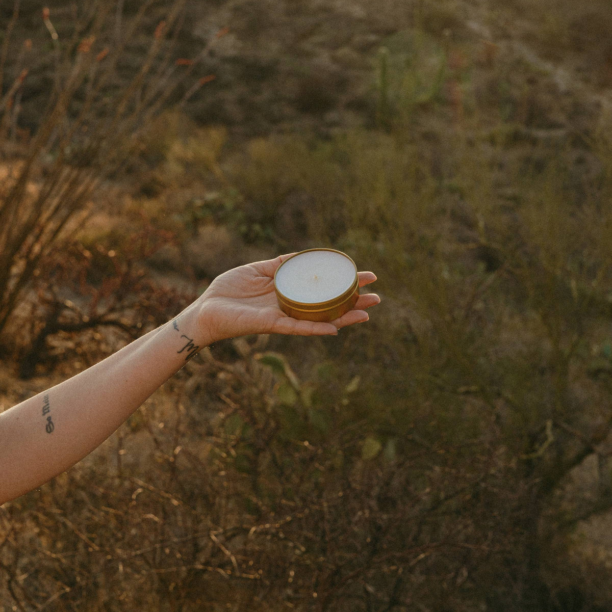 A hand holding a small round metal tin with a white lid, set against a blurred outdoor desert landscape with dry brush and warm sunlight.