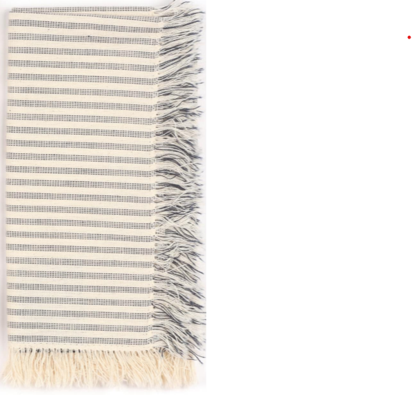 Blue Manor Stripe Napkins (Set of 4)