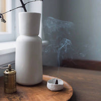 Incense Cones - Eucalyptus + Sea Salt Commonwealth Provisions Modern Nomad Home decor store Denver CO Colorado