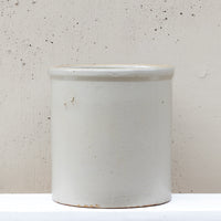 A tall, cylindrical ceramic stoneware container with a matte off-white glaze and a slightly flared rim, set against a textured beige plaster wall.
