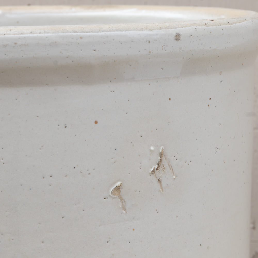 Close-up of a speckled off-white ceramic pot or planter showing the side wall and rim with a few small chips.