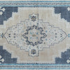 A close-up of a distressed traditional area rug featuring a central medallion design in beige, navy blue, and light blue.