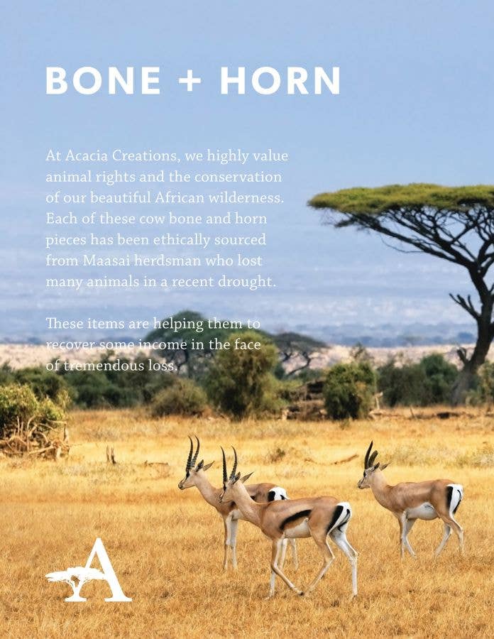 Born & Horn Book backcover 