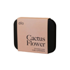 Cactus Flower Incense Cones dilo Modern Nomad Home decor store Denver CO Colorado