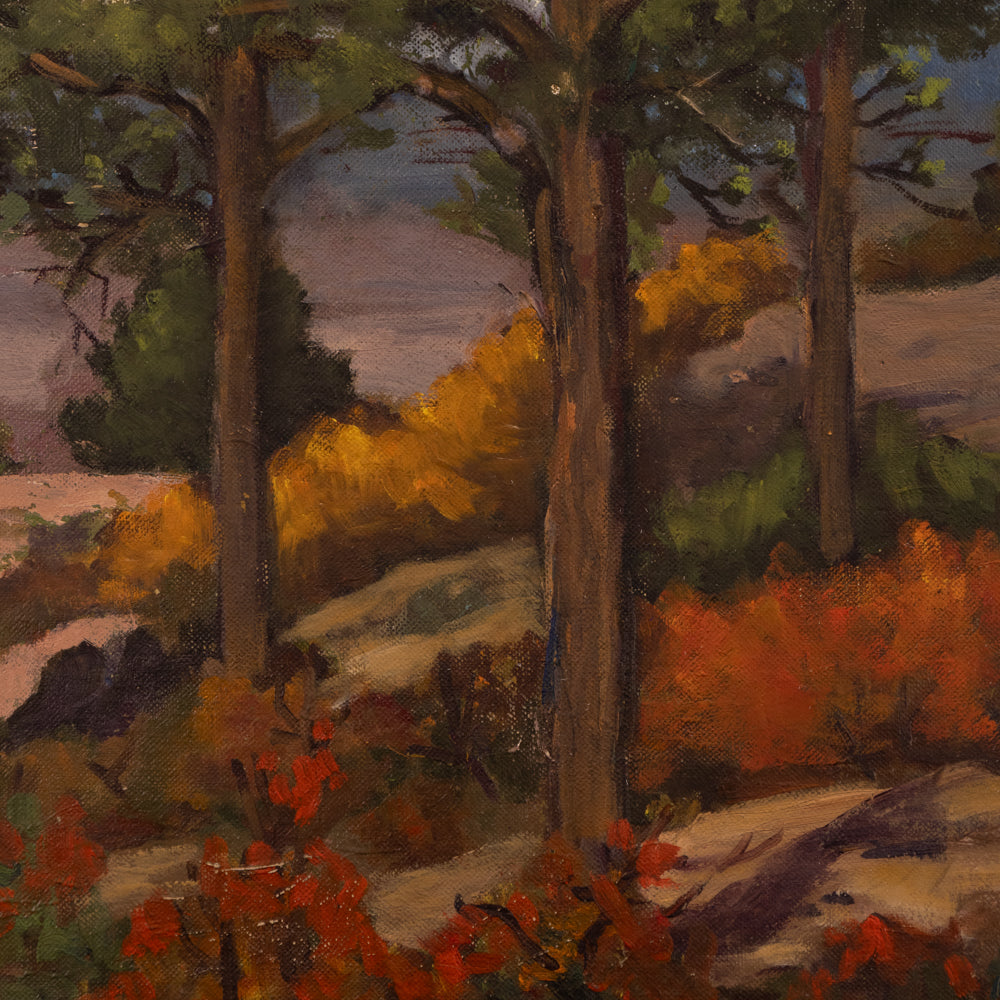 Colorado Fall Landscape