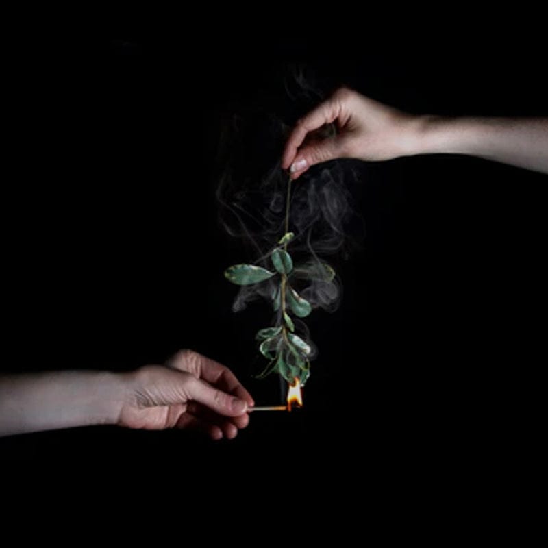 Hands holding burning plant, dark background
