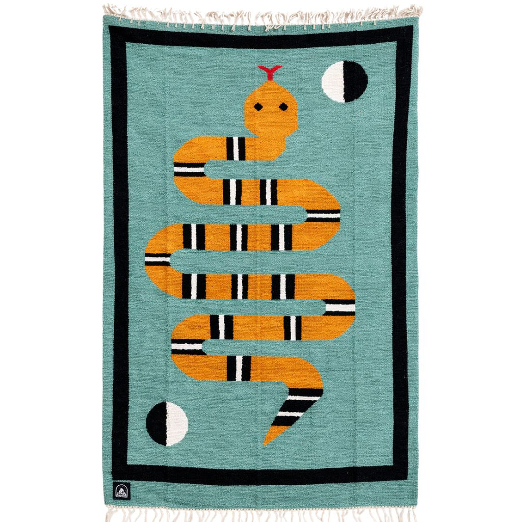 Woven blanket with a snake design on a teal background