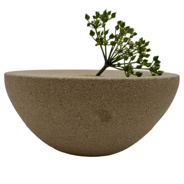 Brown ceramic bowl with a plant on a white background