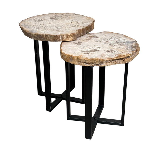 Petrified Wood Side Tables product photo