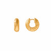 Gold hoop earrings