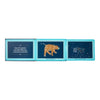 Children's book open to pages showing a bear constellation diagram and text on a light blue background