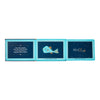 Children's book with illustrations of fish and text on a light blue cover