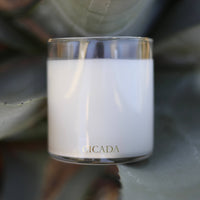 WINTER SOLSTICE Candle
