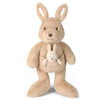 Beige plush kangaroo toy holding a smaller beige plush kangaroo toy on a white background