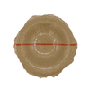 stoneware plate with a red line on a white background