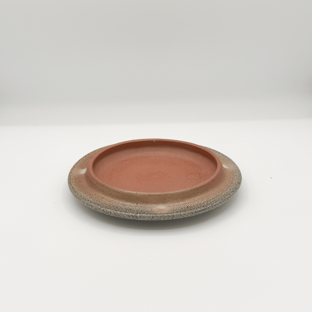 Ceramic plate with speckled texture on a white background