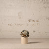 Decorative ceramic turtle with a shell design on a textured surface