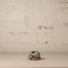 Small ceramic turtle on a textured beige surface with a neutral background