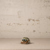 Small ceramic turtle figurine on a textured surface with a neutral background