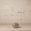 Small ceramic turtle on a textured surface with a neutral background